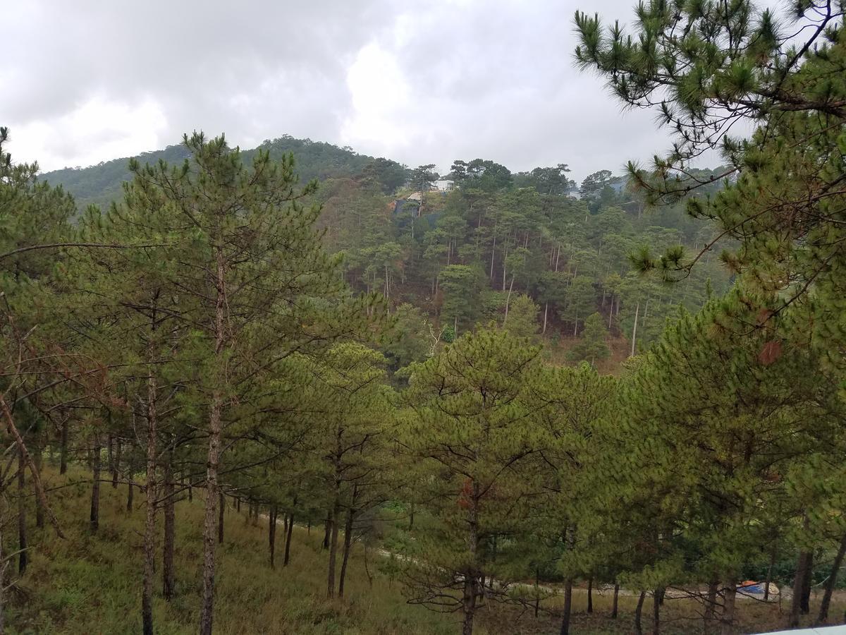 Lam Phan Hotel Villa Da Lat Eksteriør billede